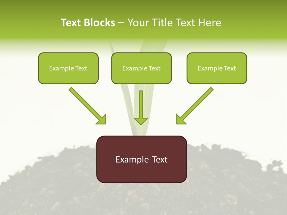 Corn Sprout In Soil PowerPoint Template