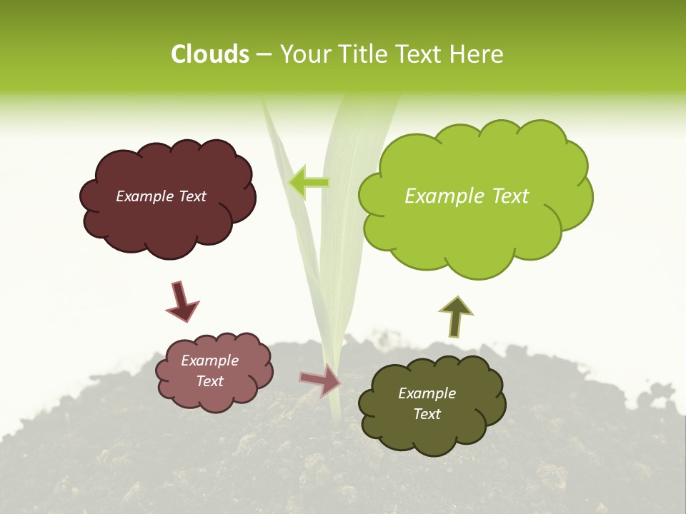 Corn Sprout In Soil PowerPoint Template