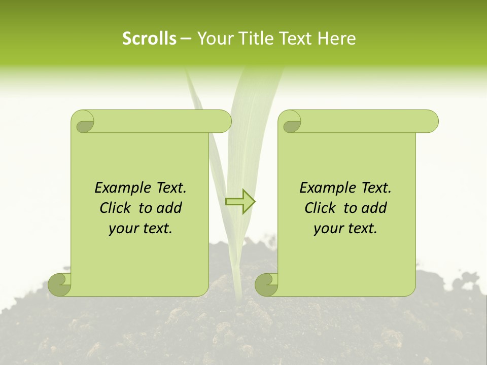 Corn Sprout In Soil PowerPoint Template