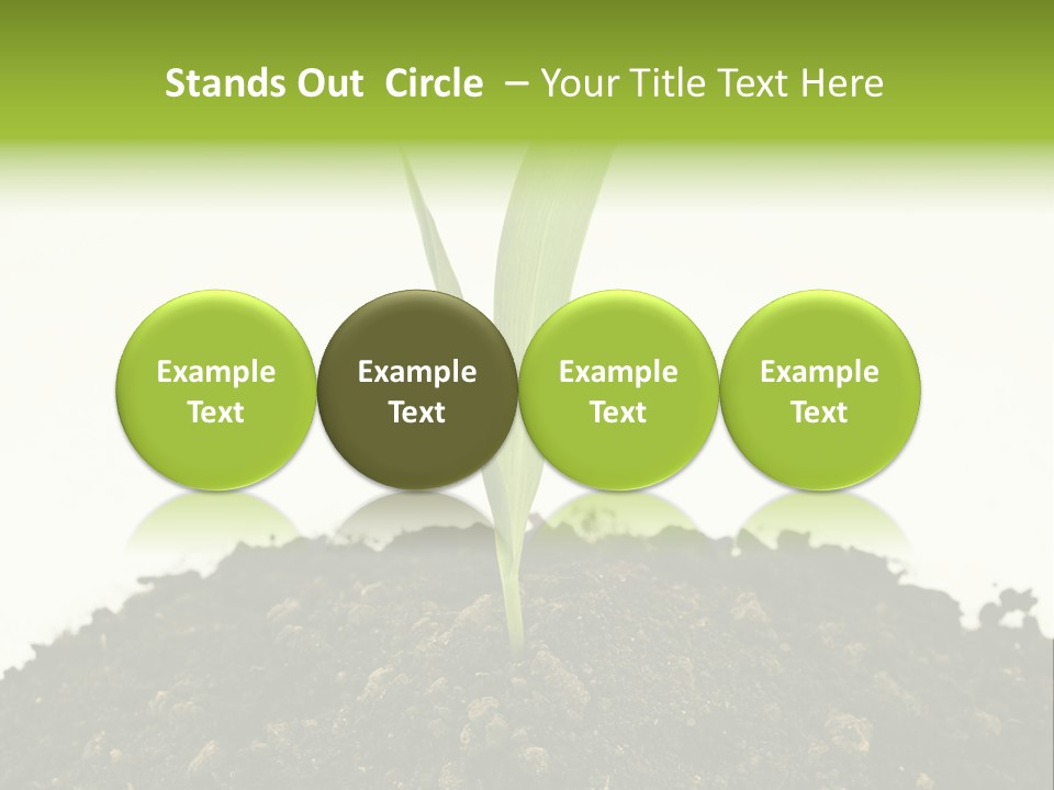 Corn Sprout In Soil PowerPoint Template
