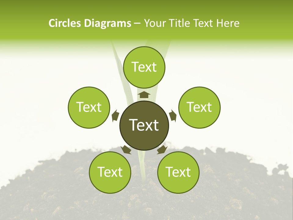 Corn Sprout In Soil PowerPoint Template