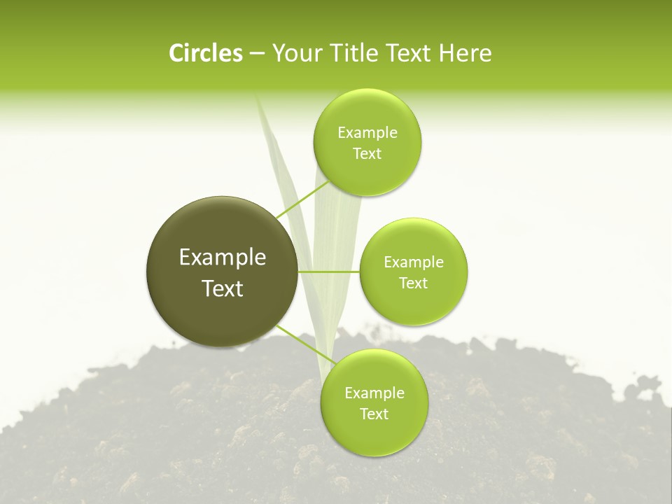 Corn Sprout In Soil PowerPoint Template