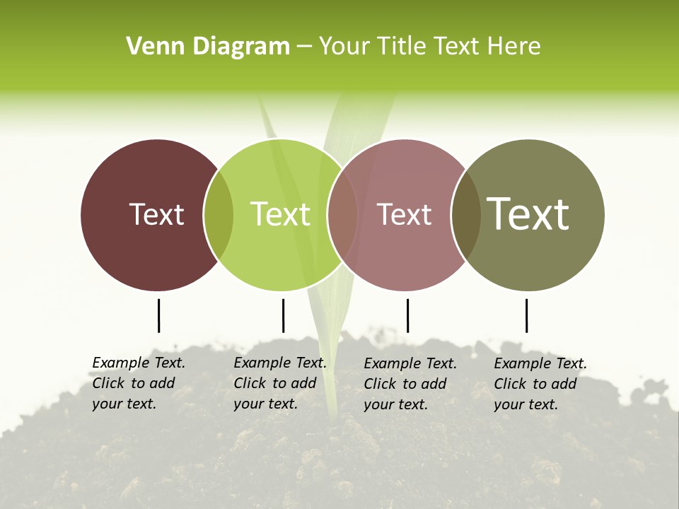 Corn Sprout In Soil PowerPoint Template