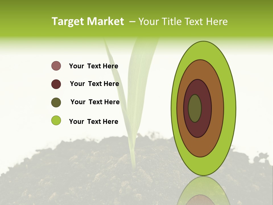 Corn Sprout In Soil PowerPoint Template