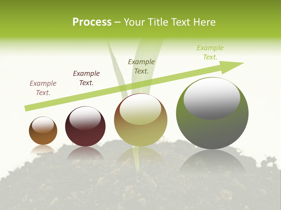Corn Sprout In Soil PowerPoint Template