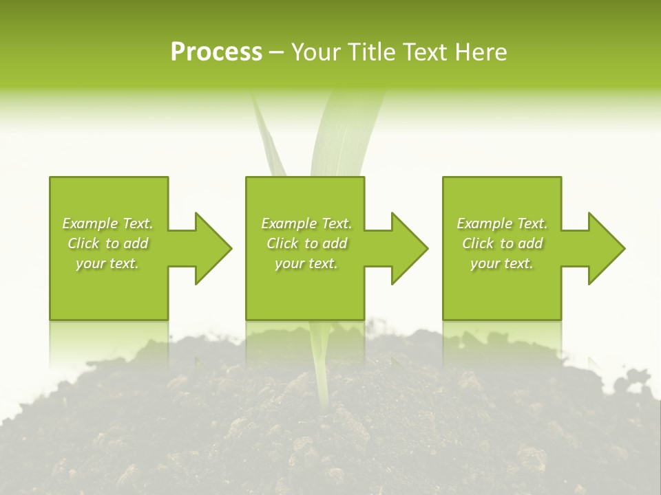 Corn Sprout In Soil PowerPoint Template
