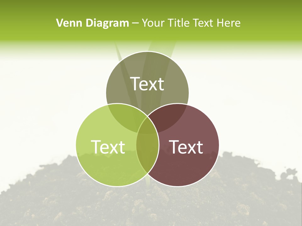 Corn Sprout In Soil PowerPoint Template