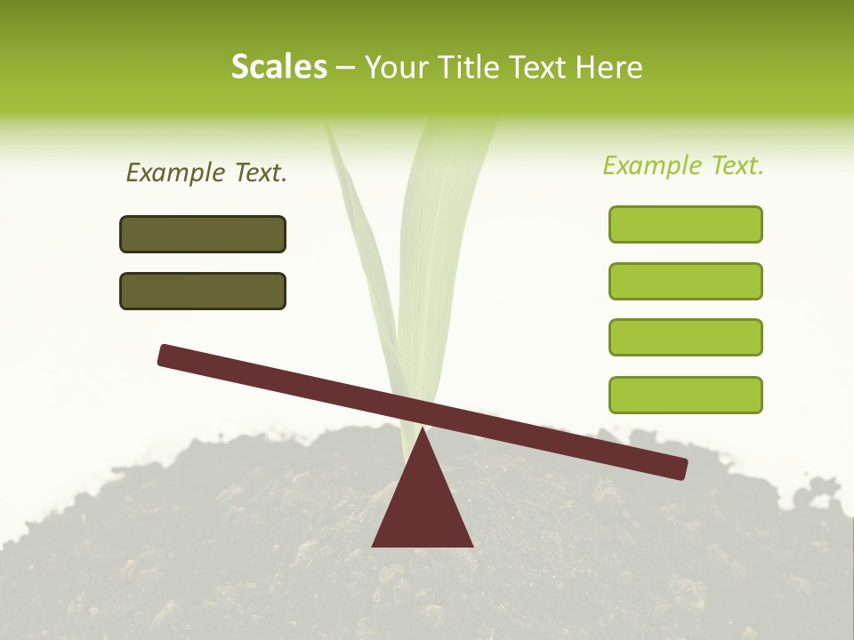 Corn Sprout In Soil PowerPoint Template
