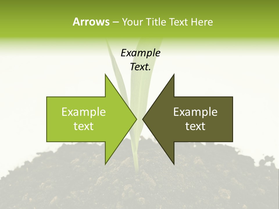 Corn Sprout In Soil PowerPoint Template