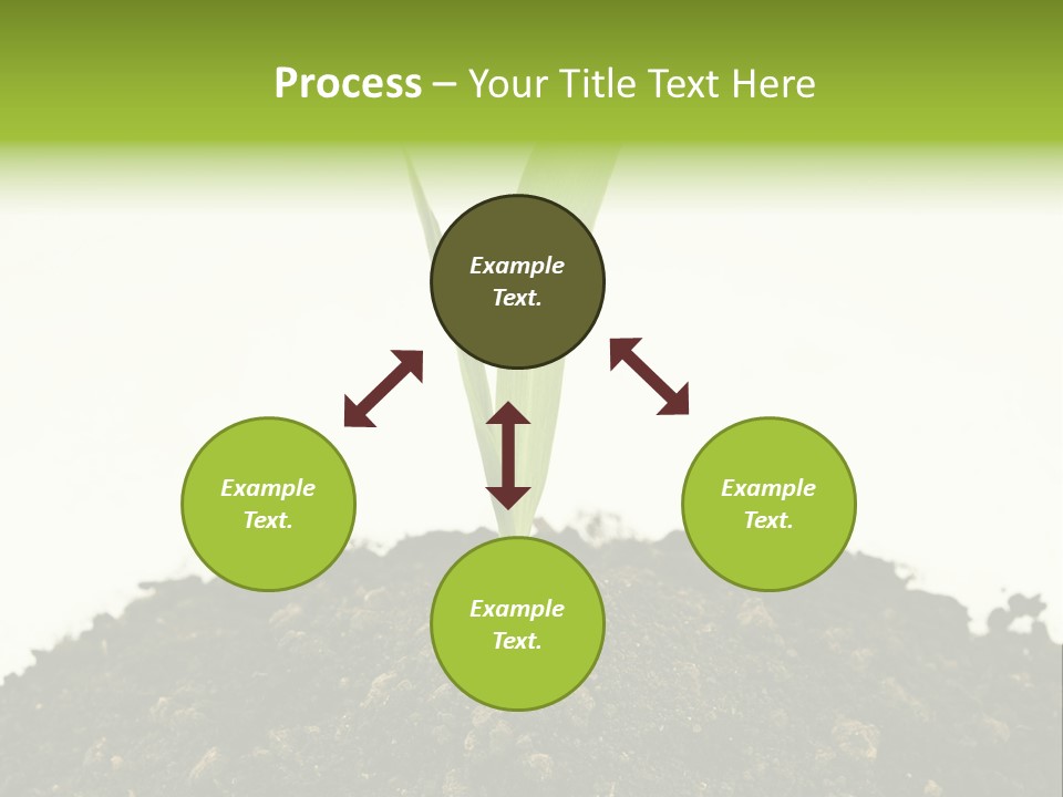 Corn Sprout In Soil PowerPoint Template
