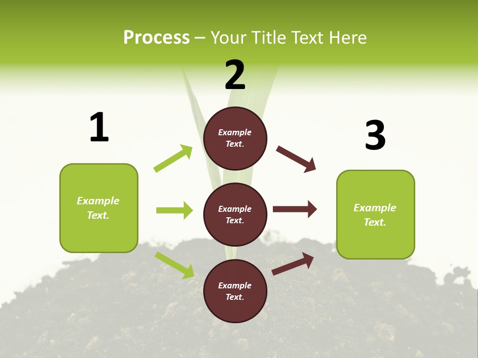 Corn Sprout In Soil PowerPoint Template