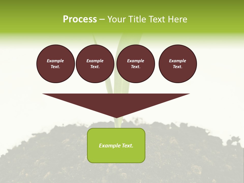 Corn Sprout In Soil PowerPoint Template