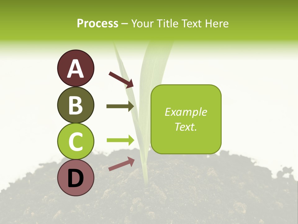 Corn Sprout In Soil PowerPoint Template