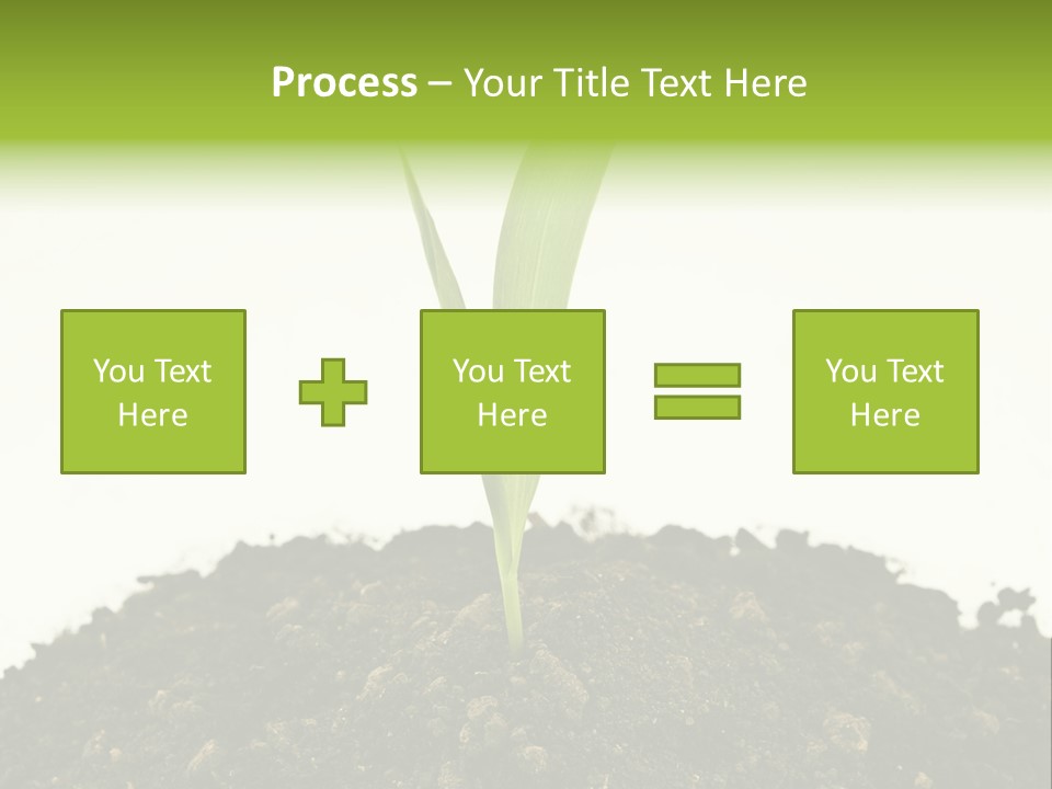 Corn Sprout In Soil PowerPoint Template