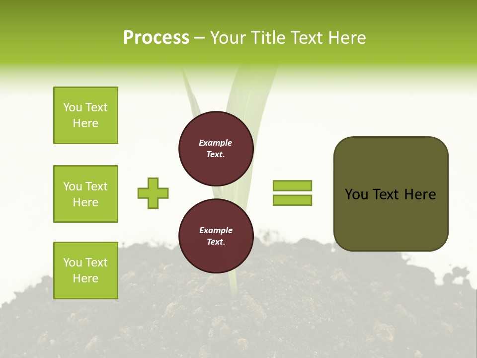 Corn Sprout In Soil PowerPoint Template