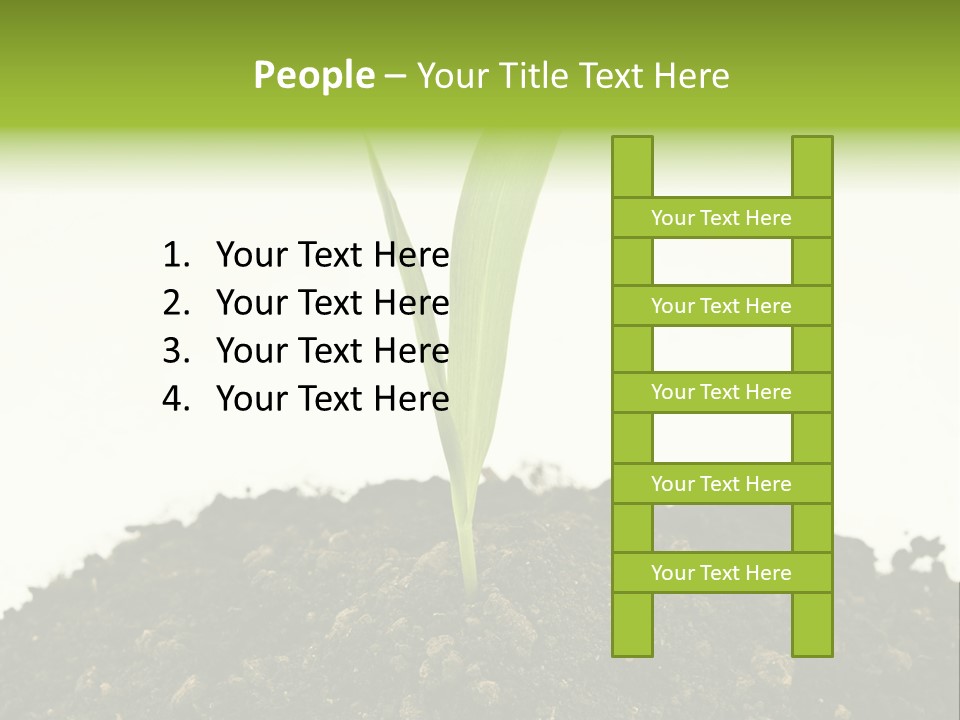 Corn Sprout In Soil PowerPoint Template