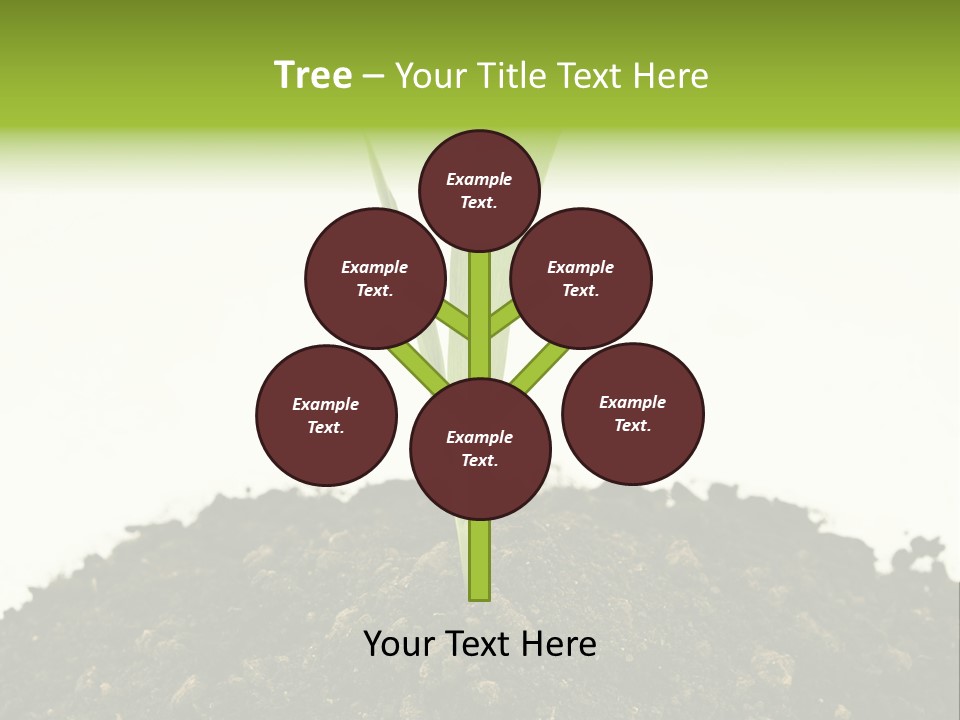 Corn Sprout In Soil PowerPoint Template