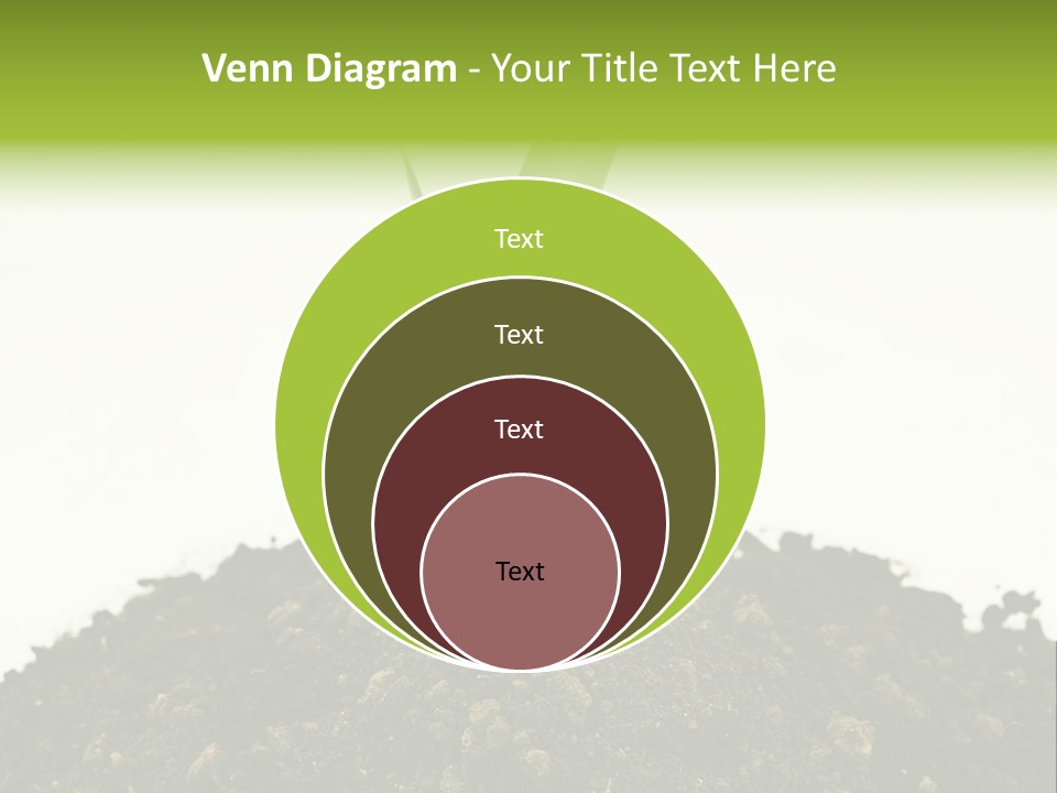 Corn Sprout In Soil PowerPoint Template
