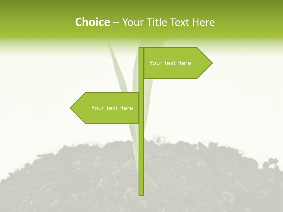 Corn Sprout In Soil PowerPoint Template