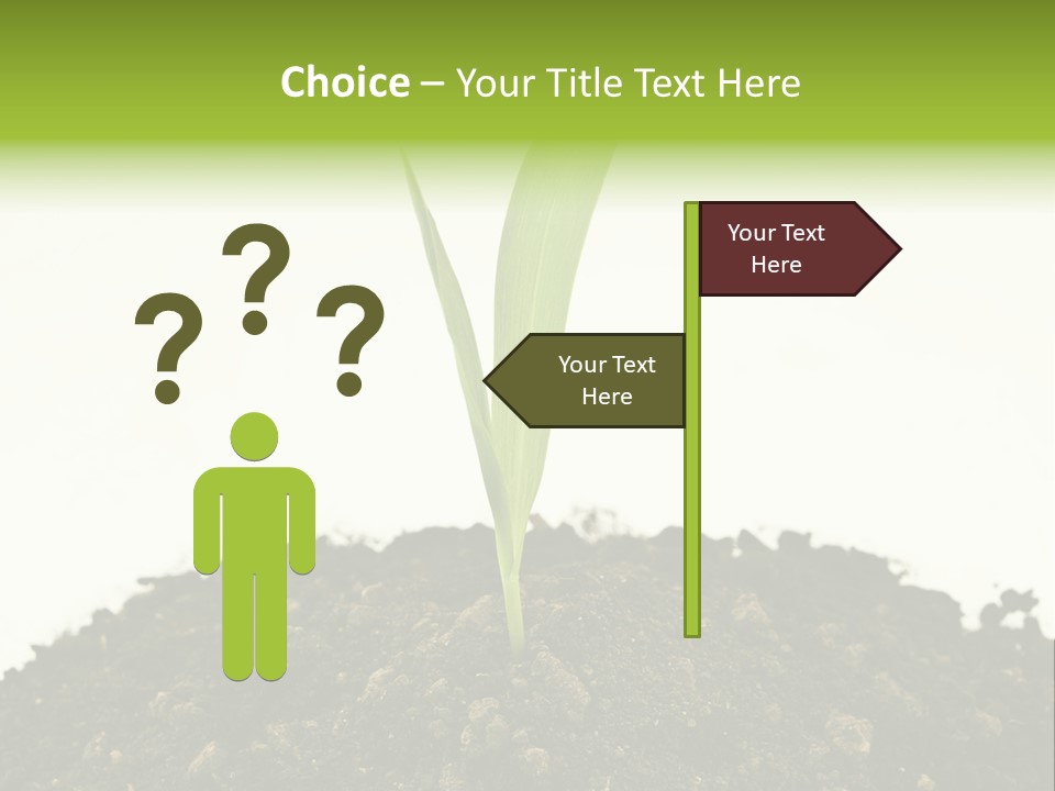 Corn Sprout In Soil PowerPoint Template