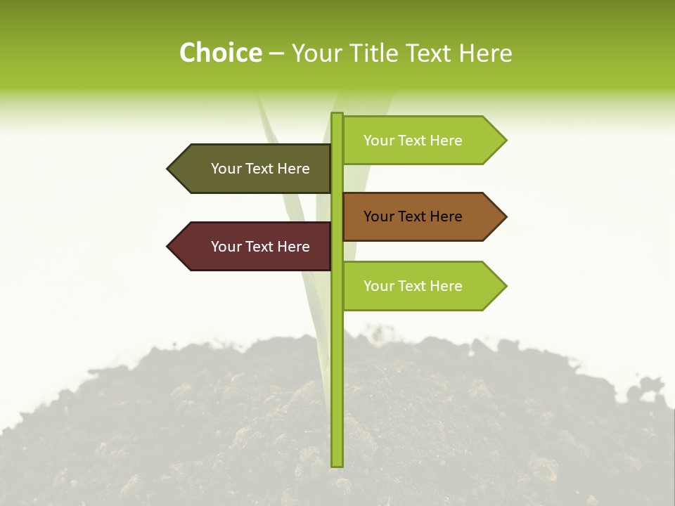Corn Sprout In Soil PowerPoint Template