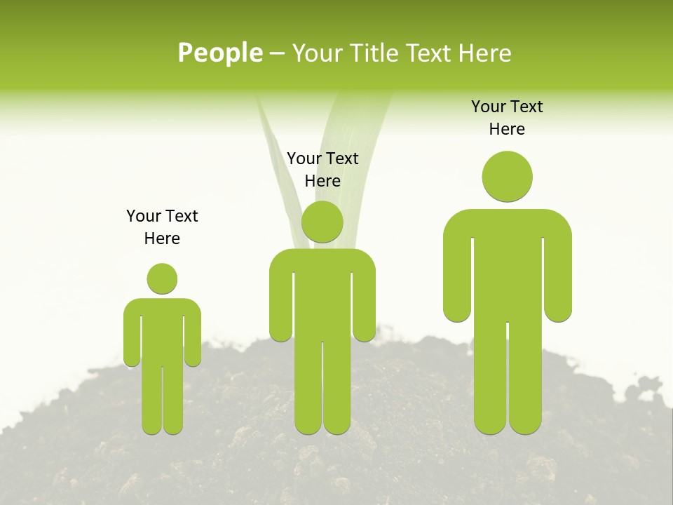 Corn Sprout In Soil PowerPoint Template