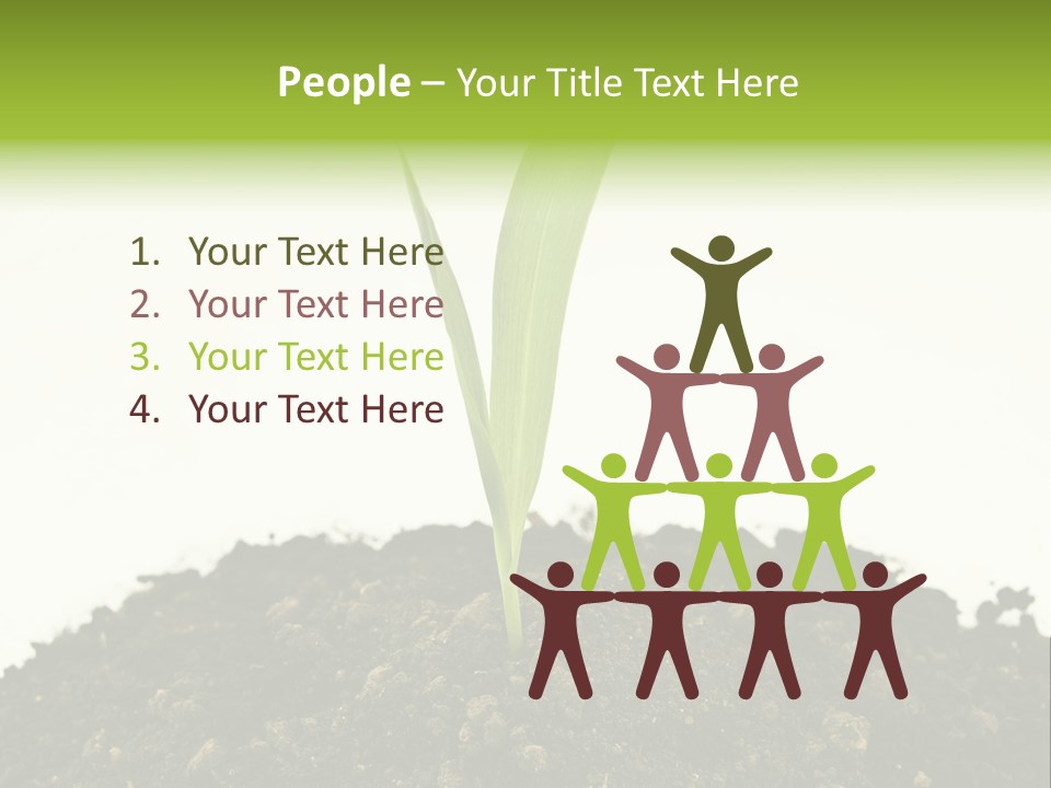 Corn Sprout In Soil PowerPoint Template