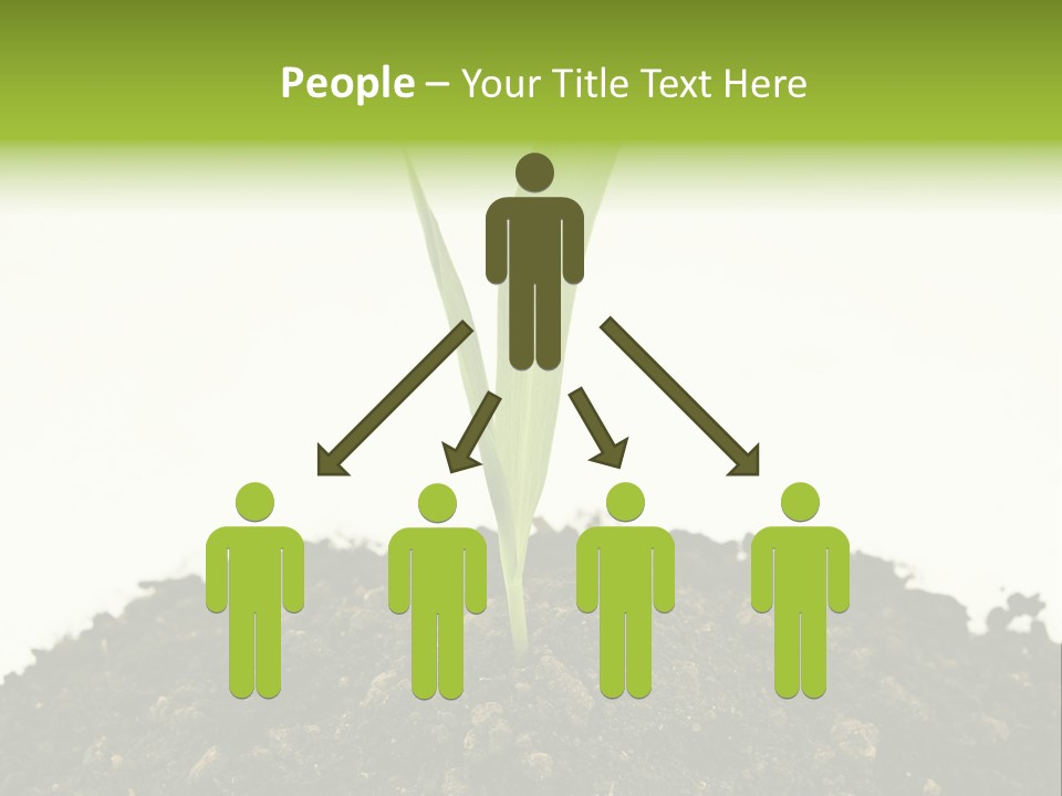 Corn Sprout In Soil PowerPoint Template