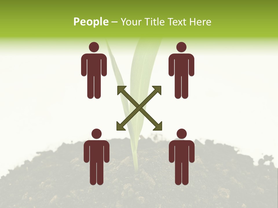 Corn Sprout In Soil PowerPoint Template