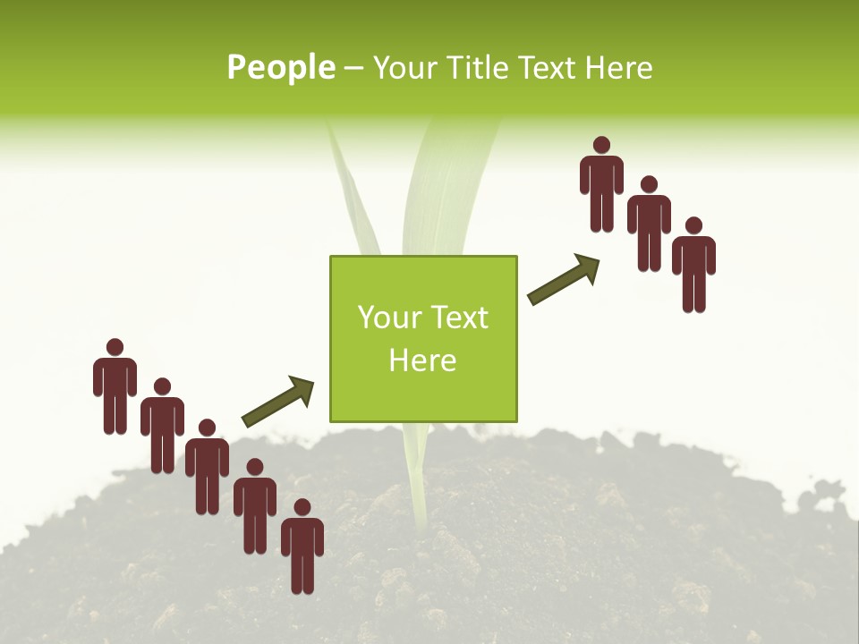 Corn Sprout In Soil PowerPoint Template