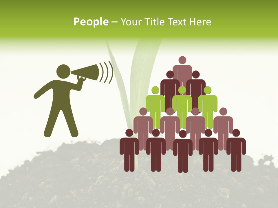 Corn Sprout In Soil PowerPoint Template