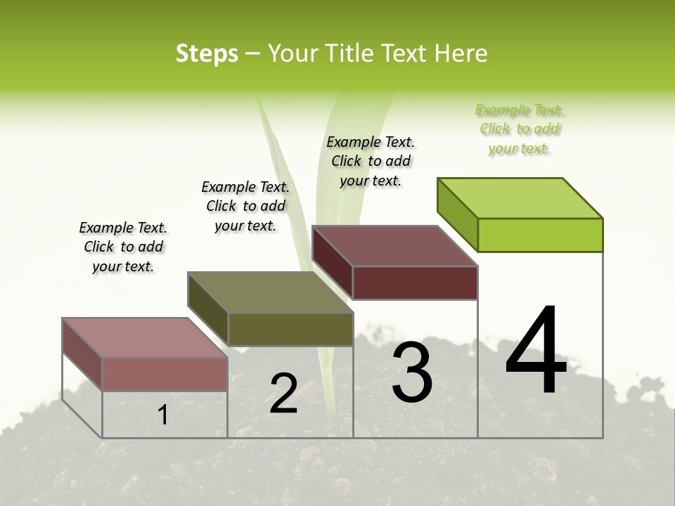 Corn Sprout In Soil PowerPoint Template