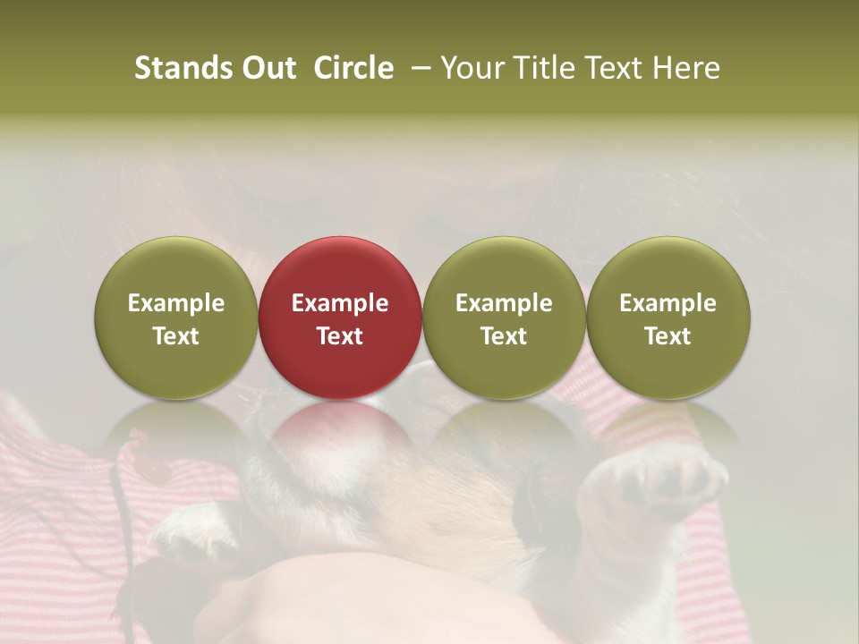 Little Girl And Her Very Young Puppy Jack Russel Terrier PowerPoint Template