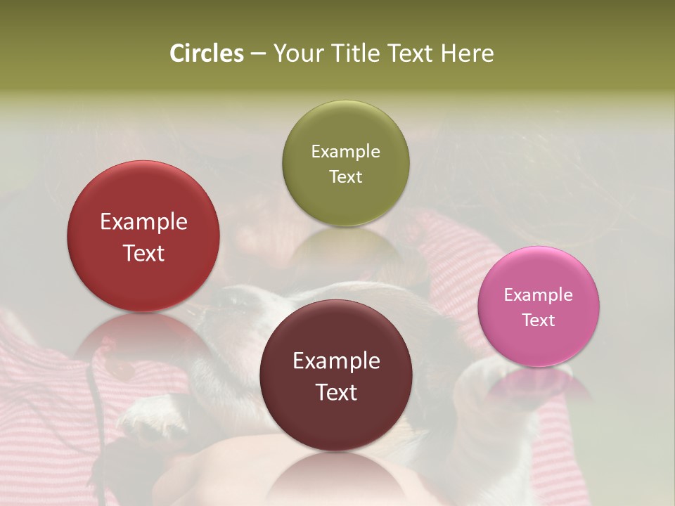 Little Girl And Her Very Young Puppy Jack Russel Terrier PowerPoint Template