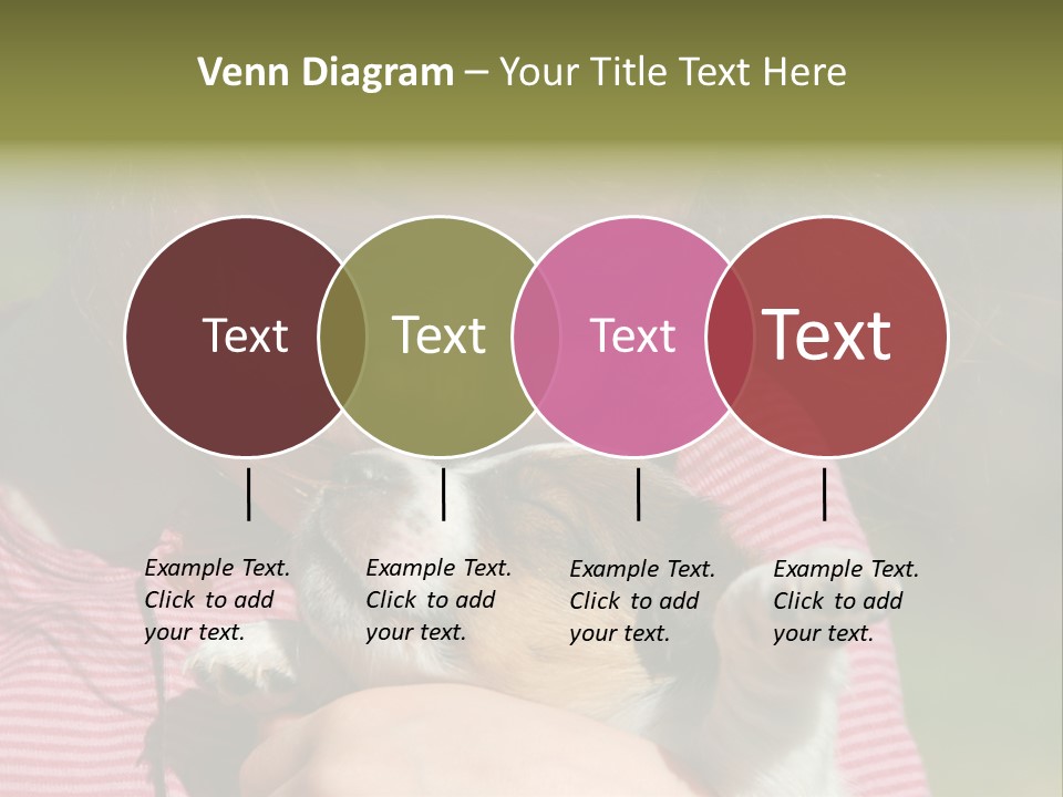 Little Girl And Her Very Young Puppy Jack Russel Terrier PowerPoint Template