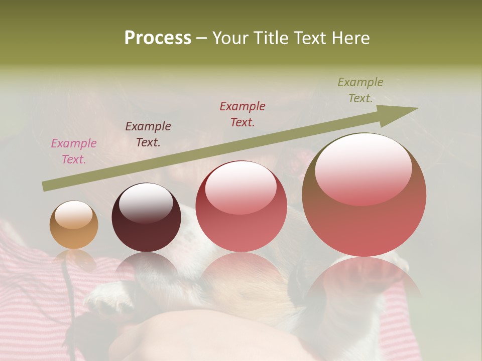 Little Girl And Her Very Young Puppy Jack Russel Terrier PowerPoint Template