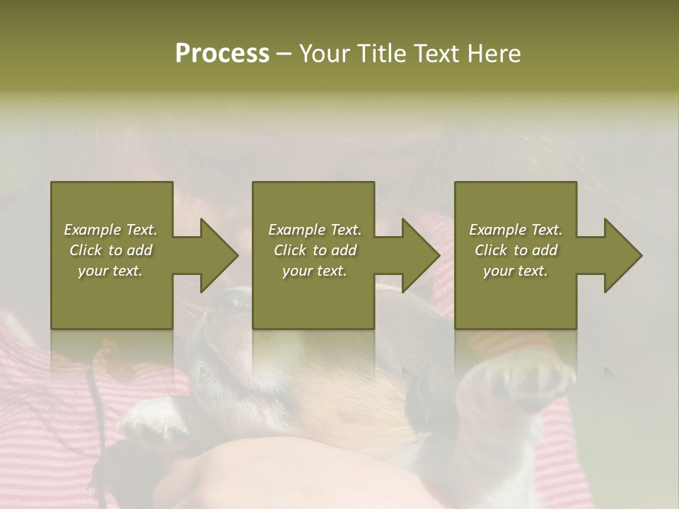 Little Girl And Her Very Young Puppy Jack Russel Terrier PowerPoint Template