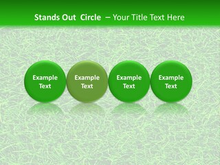 Fresh Grass Seamless Pattern. PowerPoint Template
