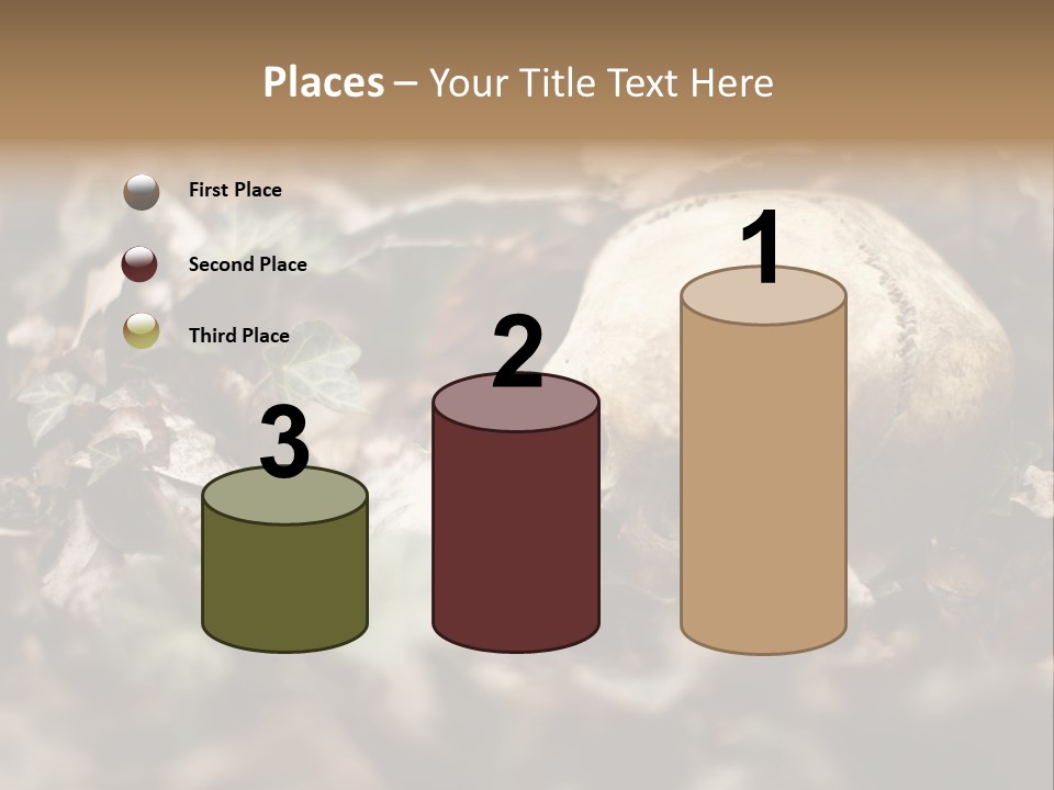 A Skull Laying In The Brush In A Forest. PowerPoint Template