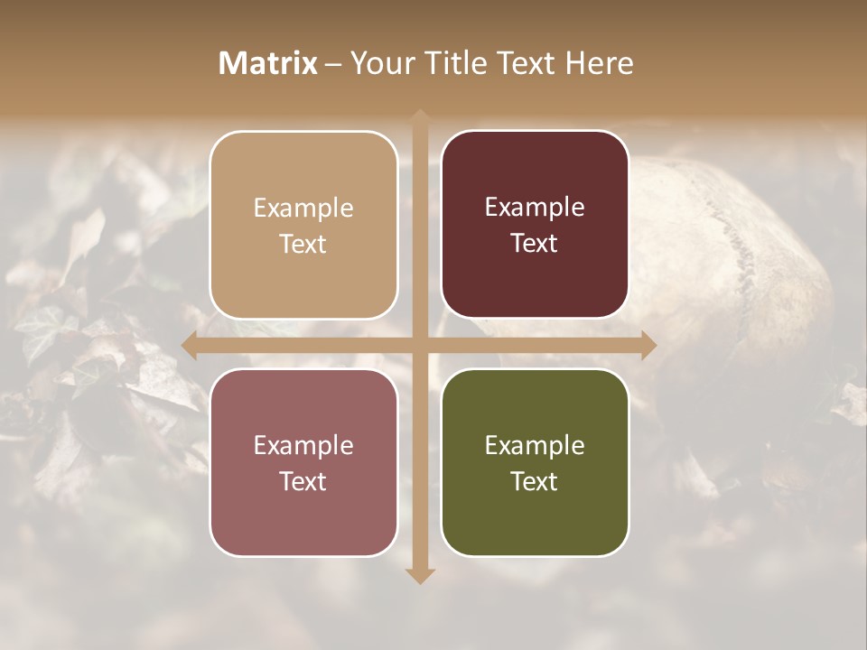 A Skull Laying In The Brush In A Forest. PowerPoint Template