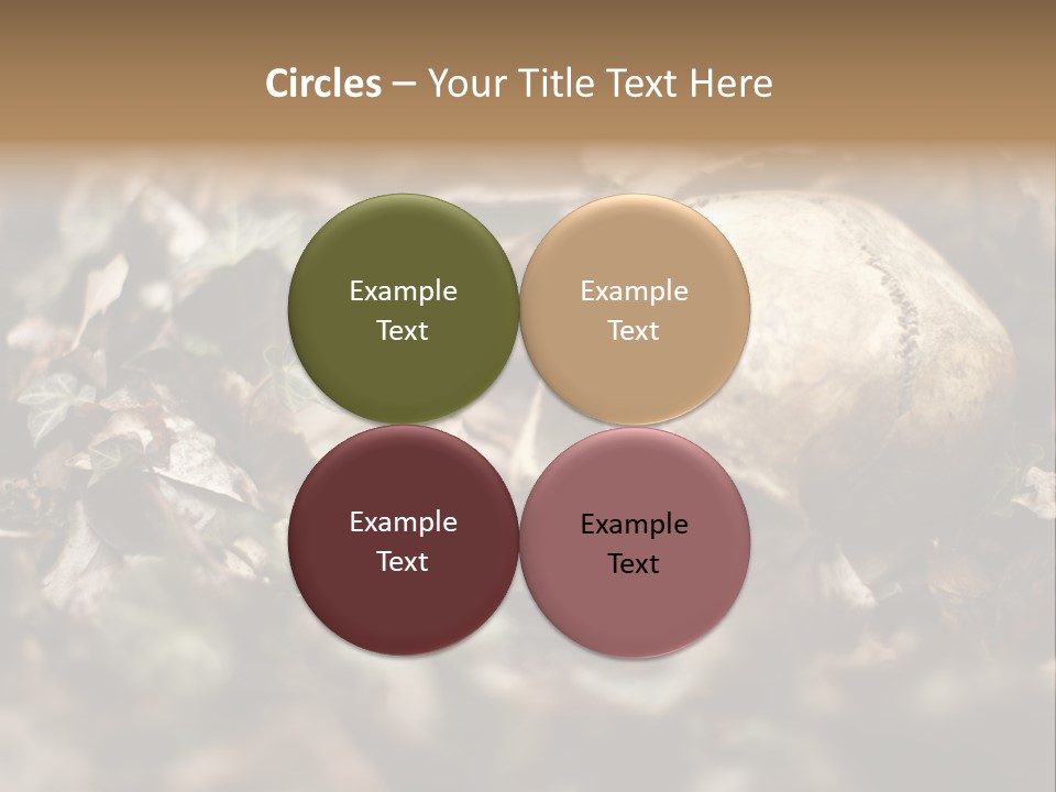 A Skull Laying In The Brush In A Forest. PowerPoint Template