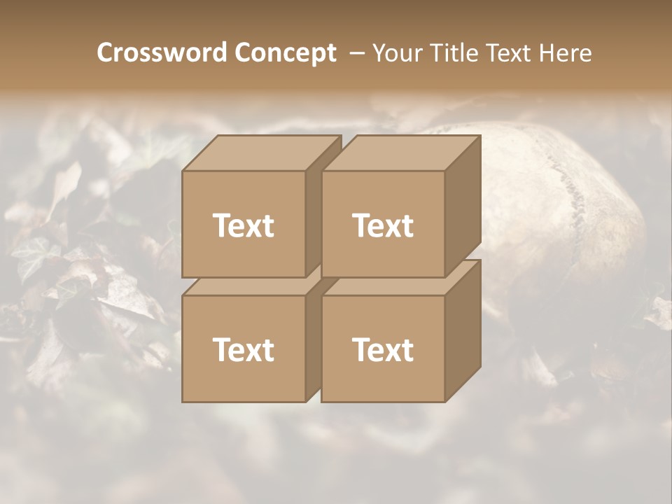 A Skull Laying In The Brush In A Forest. PowerPoint Template