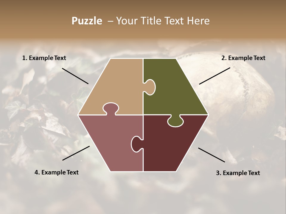A Skull Laying In The Brush In A Forest. PowerPoint Template