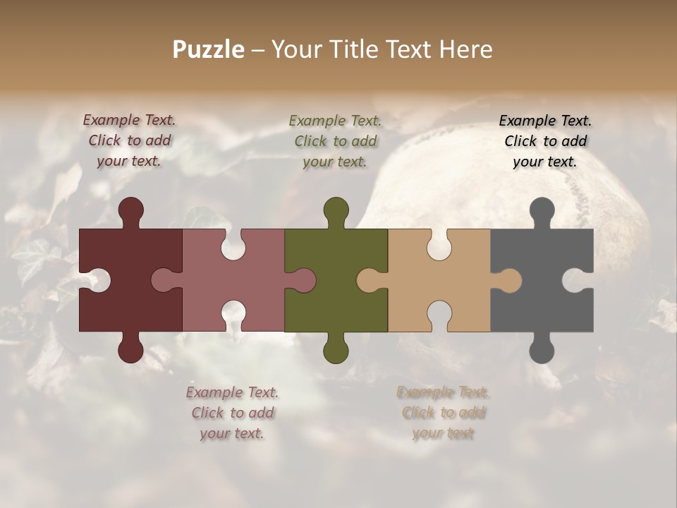 A Skull Laying In The Brush In A Forest. PowerPoint Template