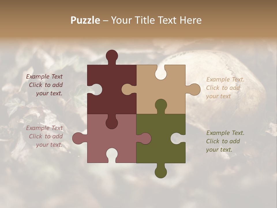 A Skull Laying In The Brush In A Forest. PowerPoint Template