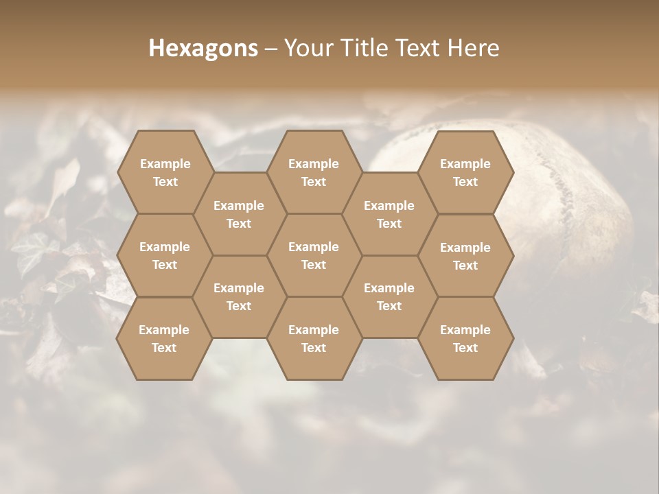 A Skull Laying In The Brush In A Forest. PowerPoint Template