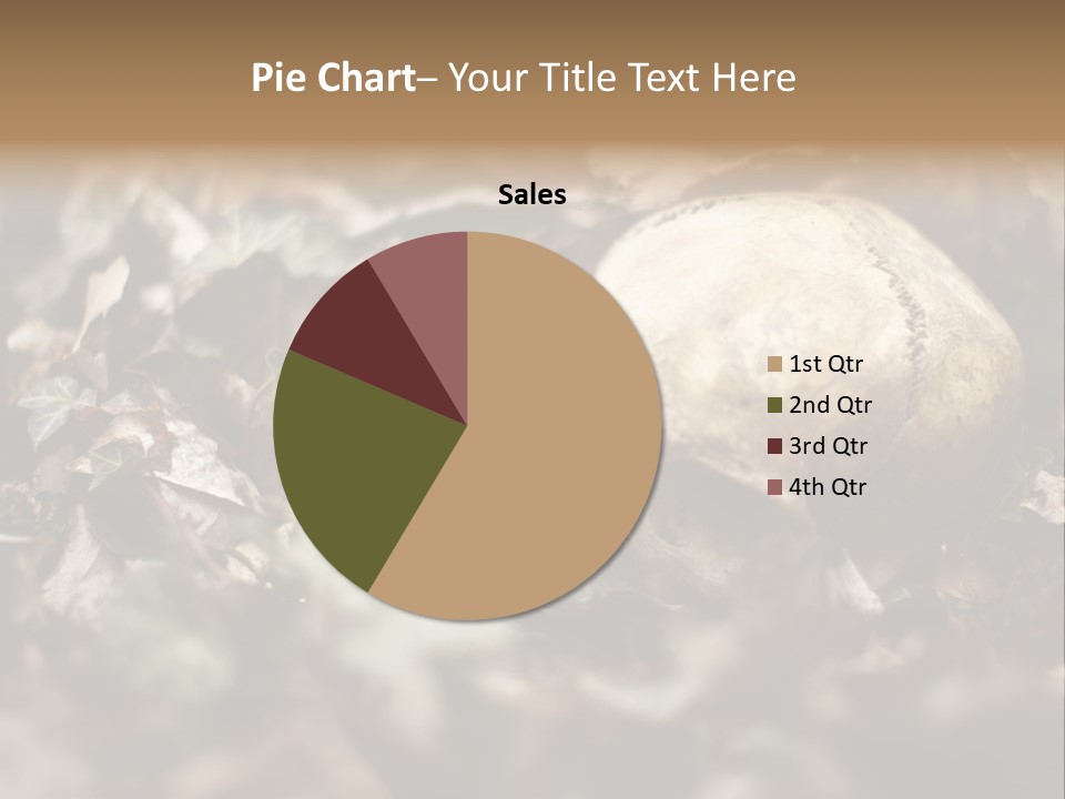 A Skull Laying In The Brush In A Forest. PowerPoint Template