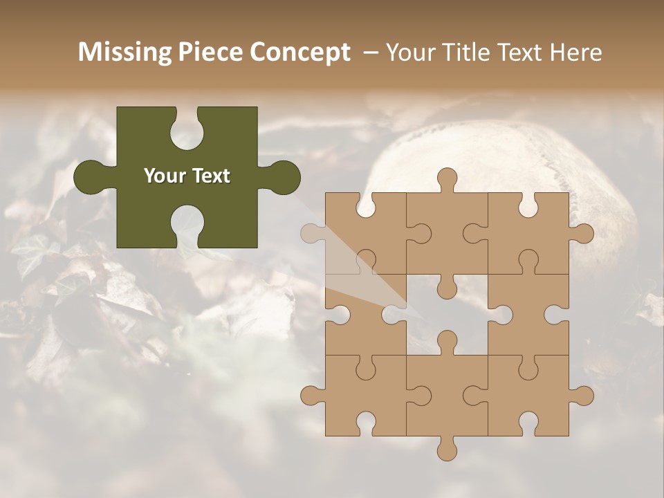 A Skull Laying In The Brush In A Forest. PowerPoint Template