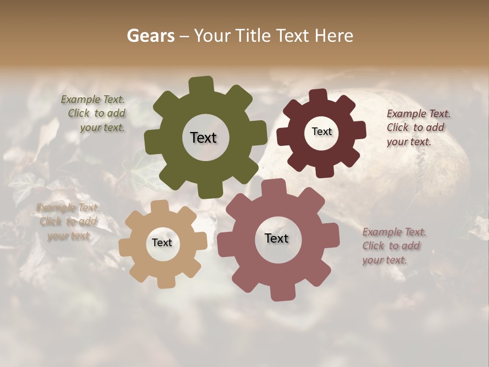 A Skull Laying In The Brush In A Forest. PowerPoint Template