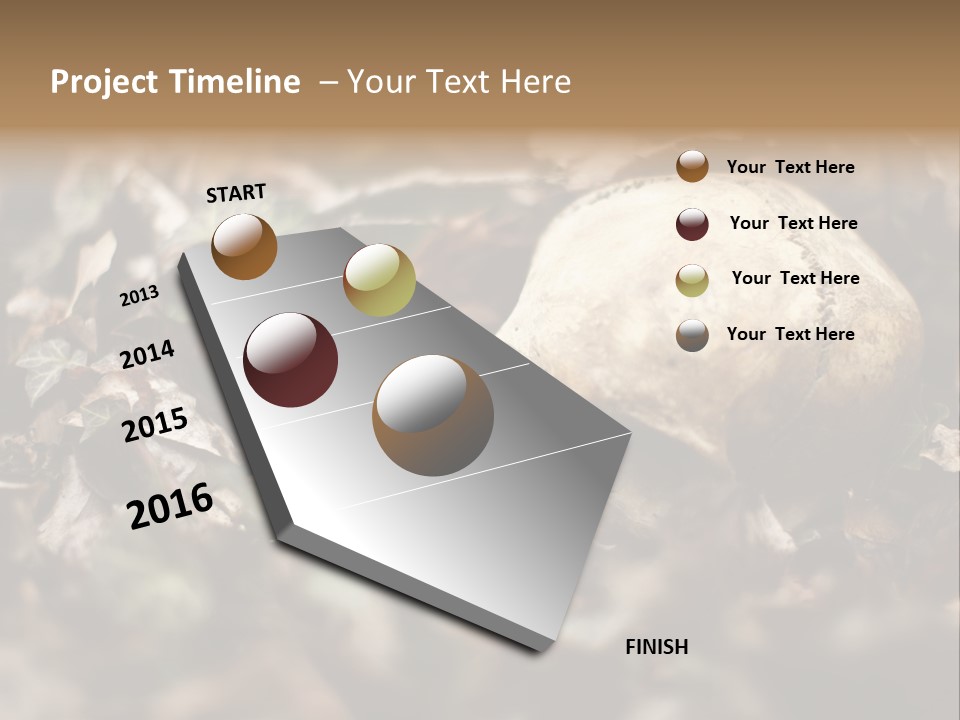 A Skull Laying In The Brush In A Forest. PowerPoint Template